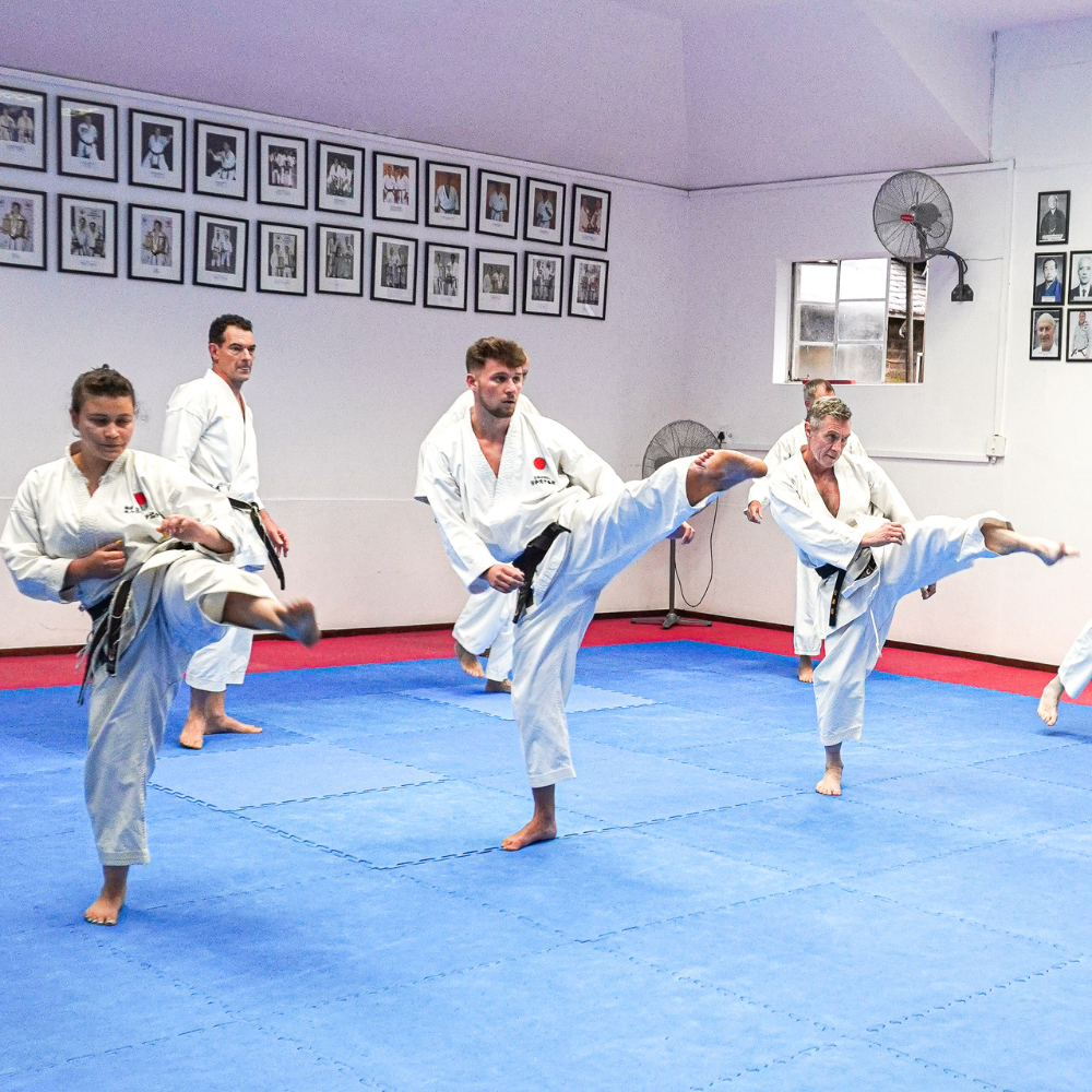 Karate South Africa Schools